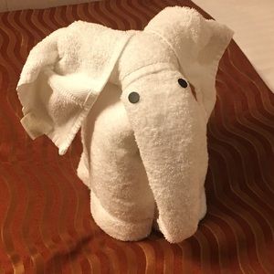 Meet your Posher, Anelis