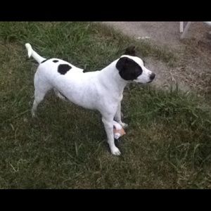 Meet your Posher, Brittany