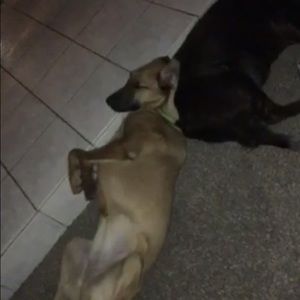 Meet your Posher, Carla