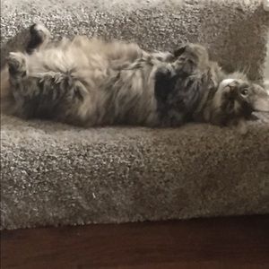 Meet your Posher, Tracy