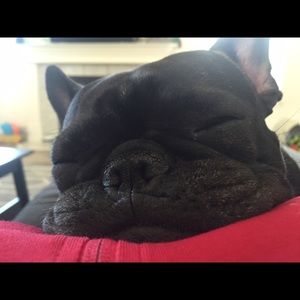 Meet your Posher, Brittany