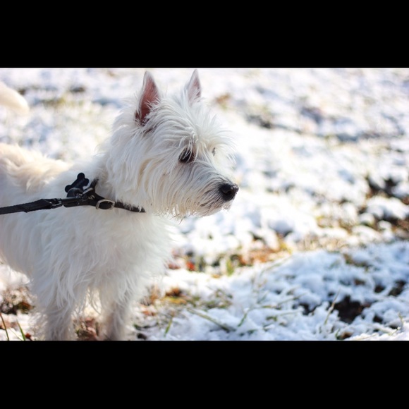Meet your Posher, Machell - Picture 1 of 1