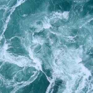 Meet your Posher, Tiahna