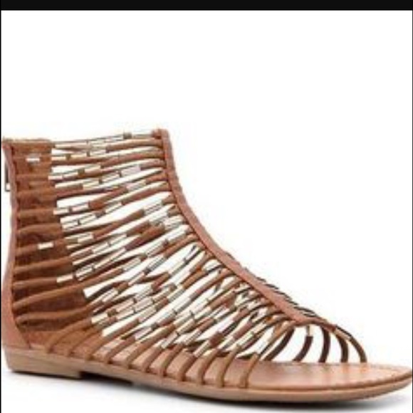 zigi soho gladiator sandals