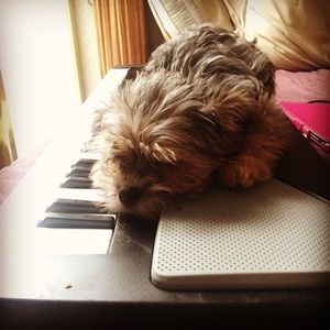 Meet your Posher, Alicia