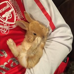 Meet your Posher, Dania