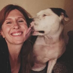 Meet your Posher, Journey