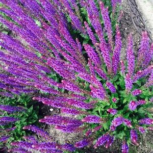 Meet your Posher, Kylan