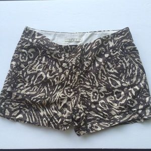 Loft Animal Print Shorts