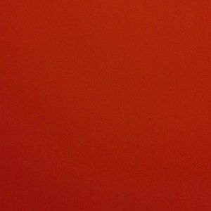 Meet your Posher, Liz