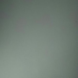 Meet your Posher, Jazmyn