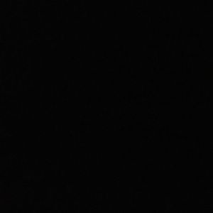 Meet your Posher, Penny