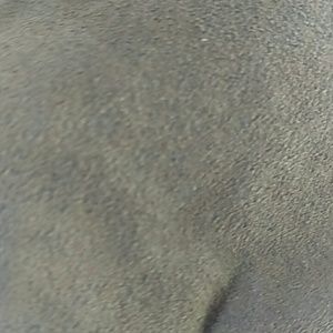 Meet your Posher, Mariah