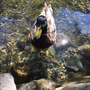 Meet your Posher, Jordyn