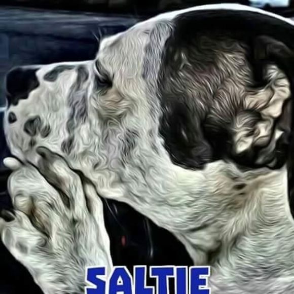 Meet your Posher, Cari - Picture 1 of 1