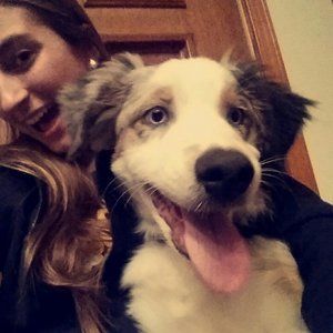 Meet your Posher, Lindsey