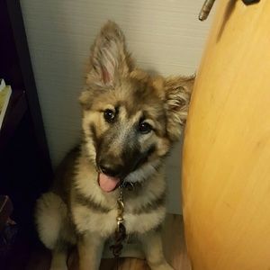 Meet your Posher, Toni