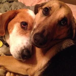 Meet your Posher, Traci