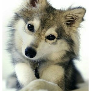 Meet your Posher, Mari