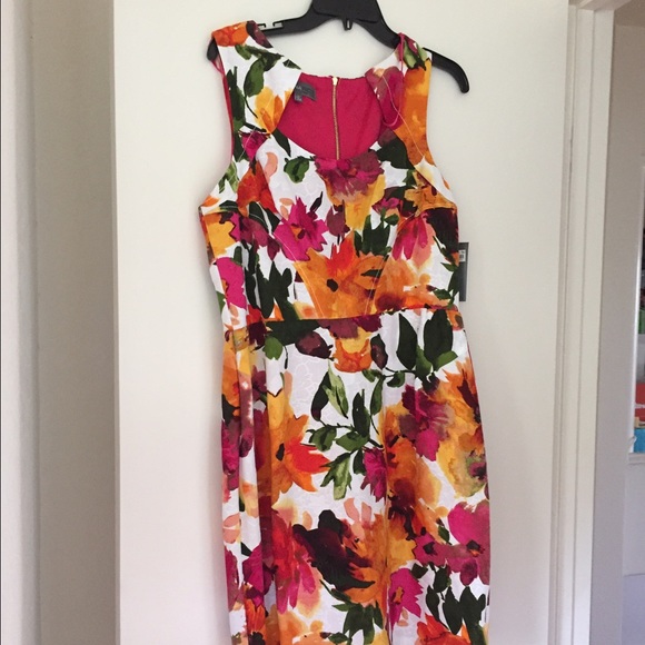 NWT floral dress. Sz 12 Donna Rocco