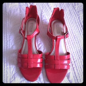 Red wedges