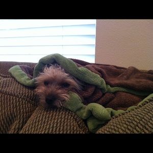 Meet your Posher, Donna