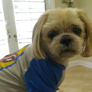 Meet your Posher, Danielle