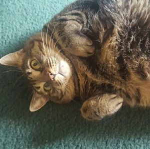 Meet your Posher, Candace