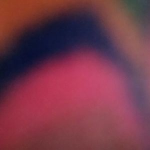 Meet your Posher, Chase