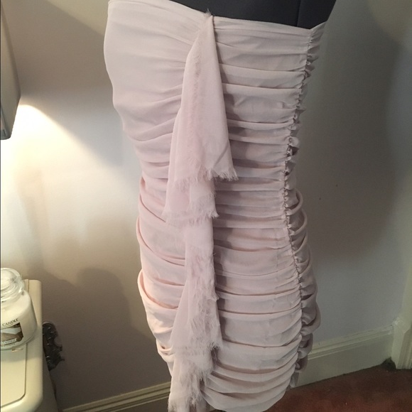 Express Pink Rouched Fringe Dress - Picture 3 of 4