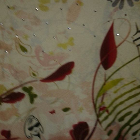 An Extrordinary Blouse! - Picture 4 of 4