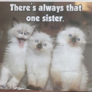 Meet your Posher, Misty