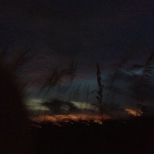 Meet your Posher, Iris