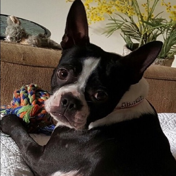 Meet your Posher, Laura - Picture 2 of 3