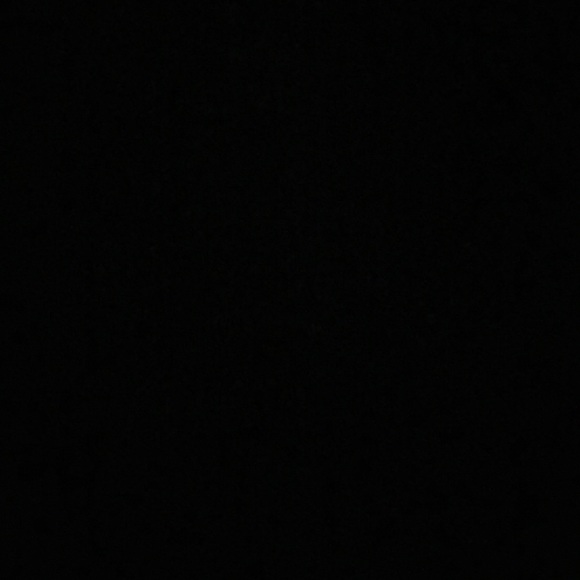 Meet your Posher, Dorian - Picture 1 of 1