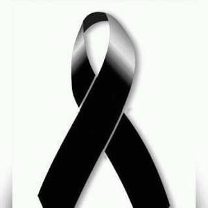 Meet your Posher, Delmy