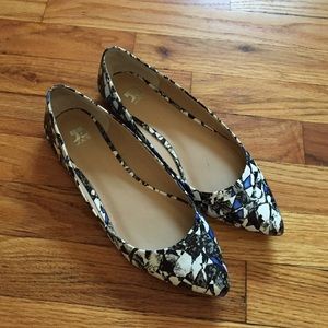 Joe's Kitty IV black & blue flats