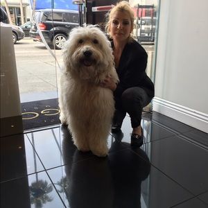 Meet your Posher, Noah