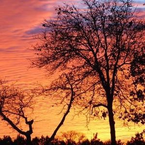 Meet your Posher, Kelli