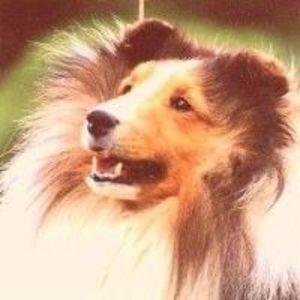 Meet your Posher, Jodi