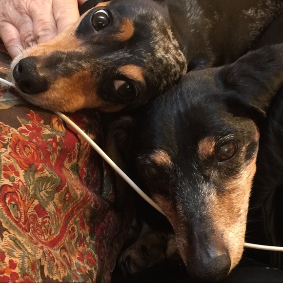 Meet your Posher, Dawnell - Picture 5 of 8