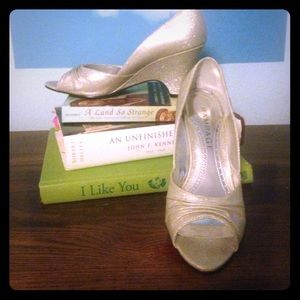 Silver Cinderella Slippers