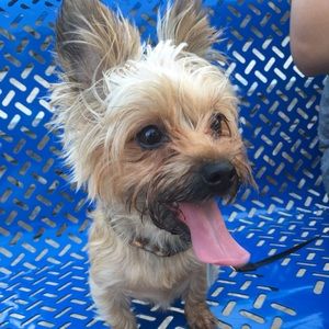 Meet your Posher, Daniel