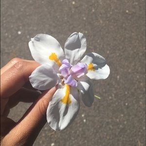 Meet your Posher, Katelynn