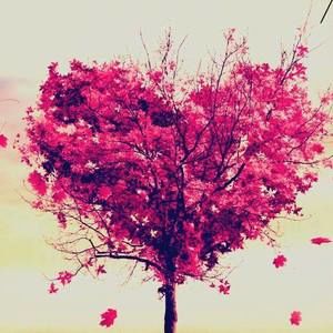 Meet your Posher, Teresa