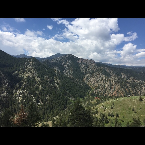 Meet your Posher, Michi - Picture 1 of 1