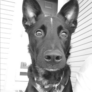 Meet your Posher, Jill