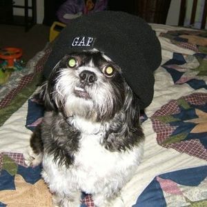 Meet your Posher, Christy