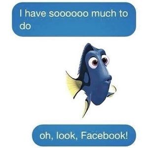 Meet your Posher, Rose