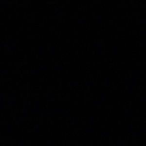 Meet your Posher, Carolina